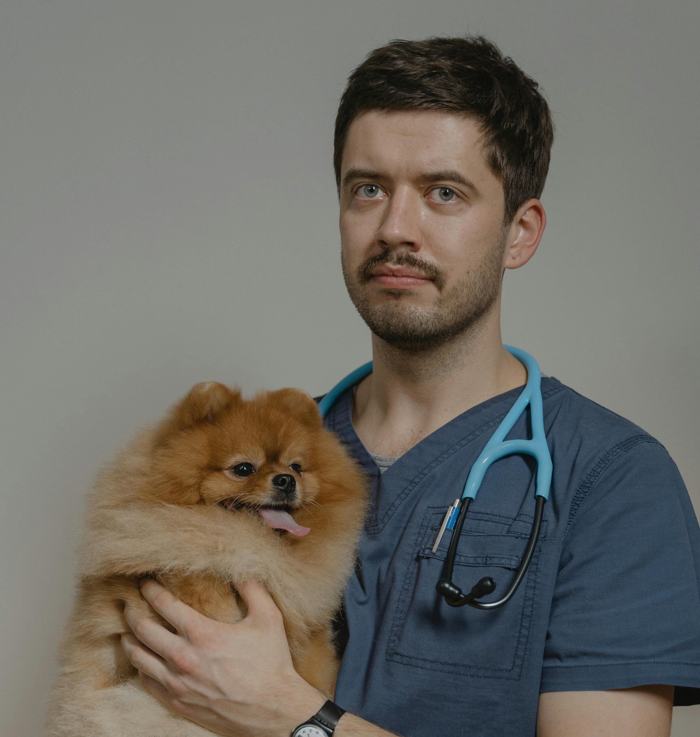 Veterinarian holding dog