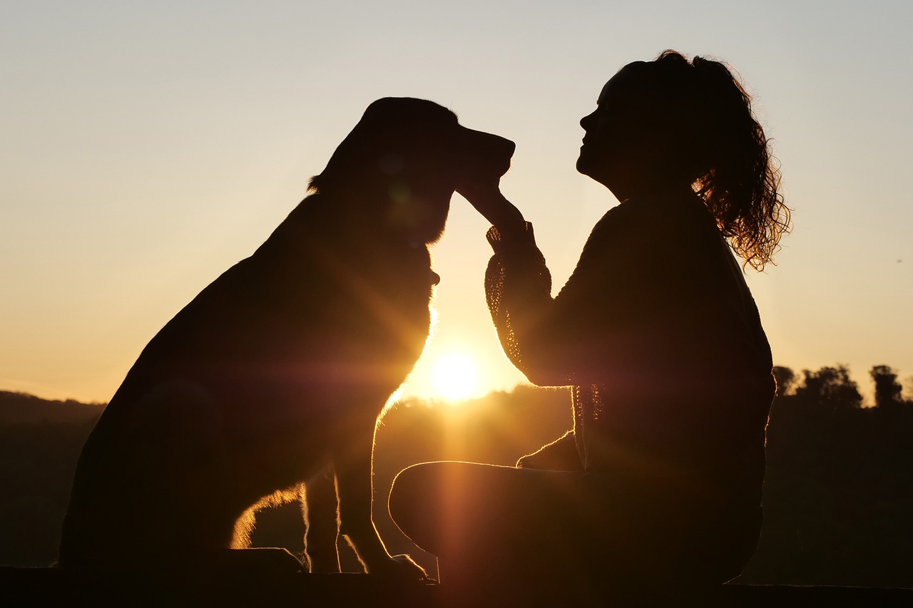 Dog & Woman silhouette with setting sun in Background